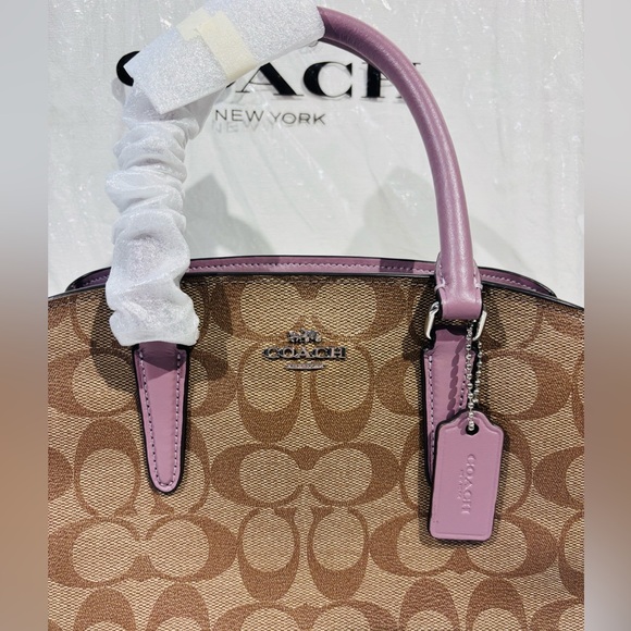 NWT! COACH Mini Sage Carryall - Picture 2 of 6